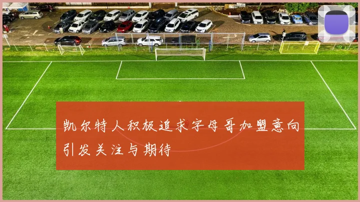 凯尔特人积极追求字母哥加盟意向引发关注与期待