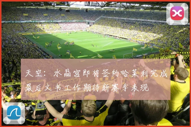 天空：水晶宫即将签约哈莱利完成最后文书工作期待新赛季表现