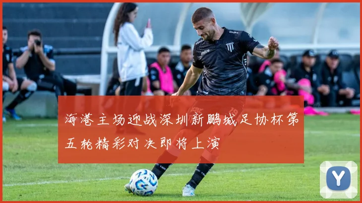 海港主场迎战深圳新鹏城足协杯第五轮精彩对决即将上演